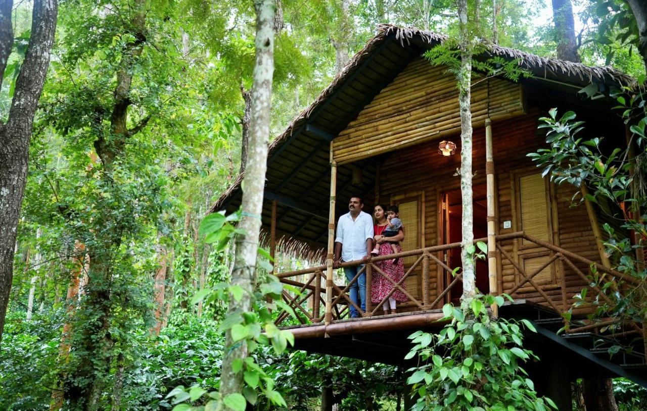 Adrak Mountain Mist Forest Resort Pulpally Eksteriør billede