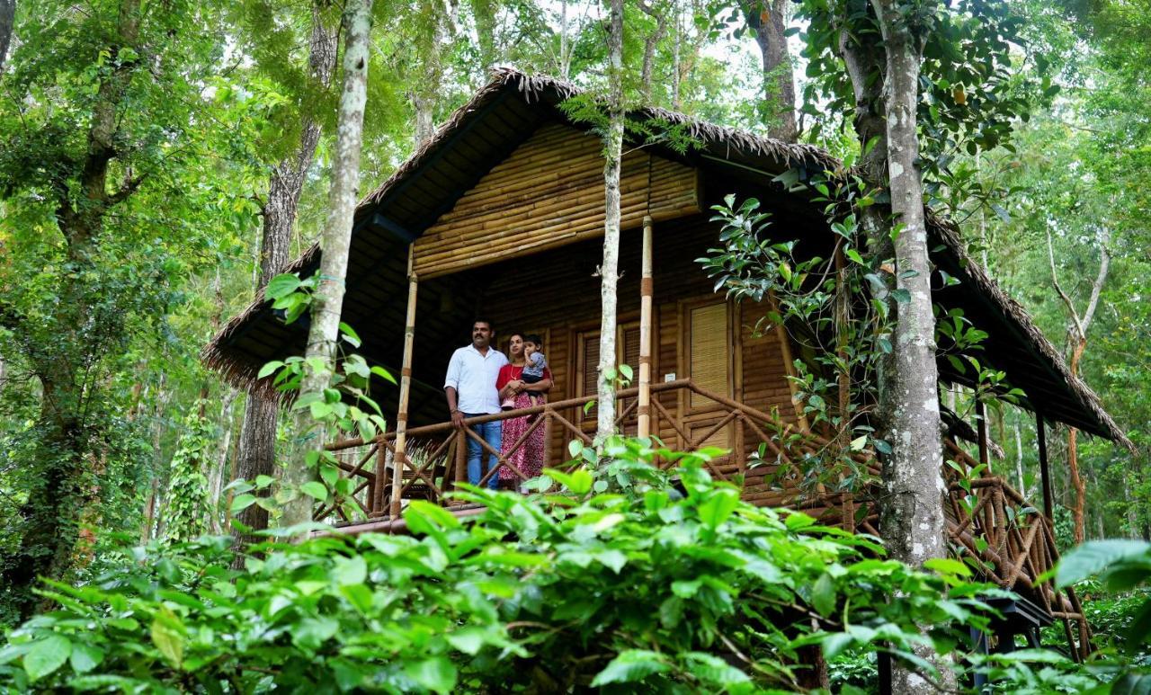 Adrak Mountain Mist Forest Resort Pulpally Eksteriør billede